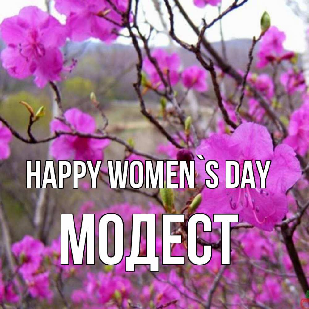 Greetings card с именем, Модест happy women`s day международный женский день Greetings with text for free download 